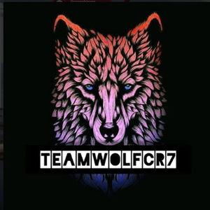 Meet your Posher, Team wolf